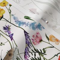 Small A beautiful cute handpainted midsummer dried flower garden with wildflowers and grasses and herbs and butterflies  on white background