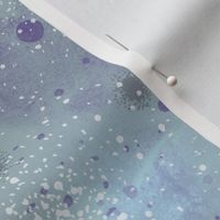 Starburst Nebula Dream