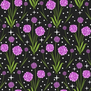 Sweet Purple Pink Allium Dreams on Black Background: Large
