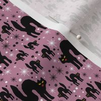 Retro Style Black Cats with Starbursts & Dusty Rose Background