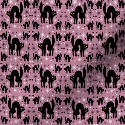 Retro Style Black Cats with Starbursts & Dusty Rose Background