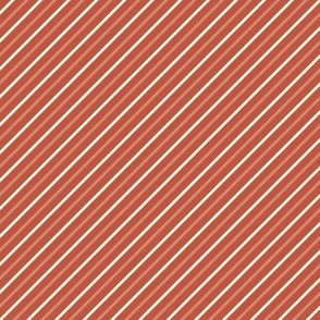 Diagonal Stripes - Small - Coral