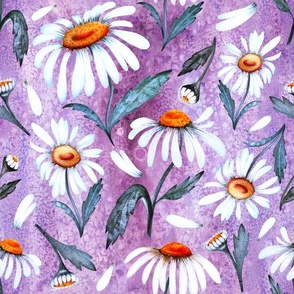 Daisy Dreams - Watercolor Hand Drawn - Purple bg