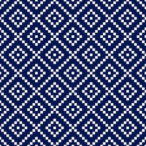 Navy and white small squares festival - FABRIC