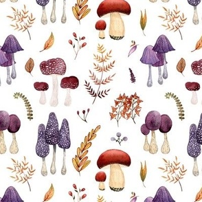 White and purple mushrooms
