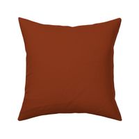 Solid Colored, Cinnamon Brown, Basic, Coordinate B23017S02