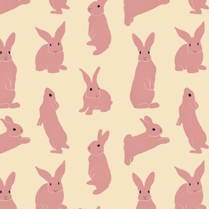 Happy Rabbit - Pink and Yellow