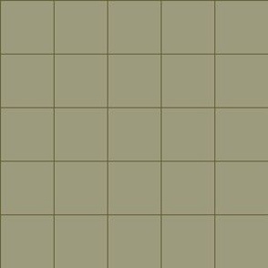 Green squares (on mid green) - geometric checks