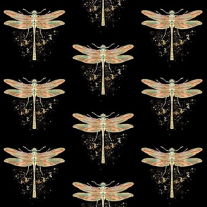 Dragonfly black/gold/colour
