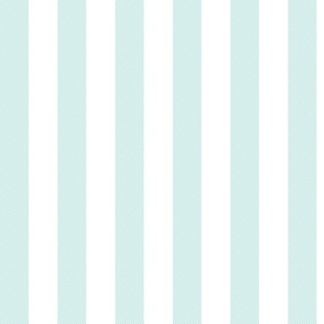 Modern Trending Vertical White Twill Stripes on Mint Teal on White Stripes