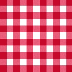 Red gingham with contrasting lighter hues - medium