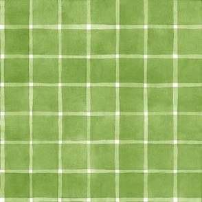 Pear Green Window pane Check Gingham -Small Scale - Yellow Green Celery Green Home Decor Windowpane