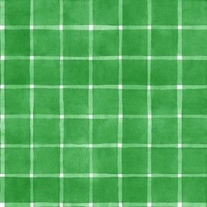 Classic Green Window pane Check Gingham - Small Scale - Shamrock  Forest Fresh Spring Lime Home Decor Windowpane