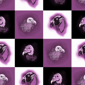 Purple Vultures on Grid