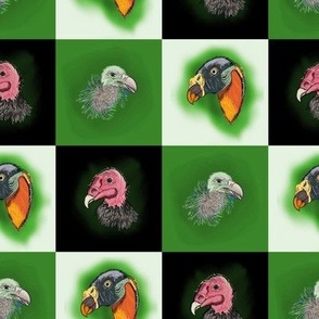 Vultures on Jade Grid