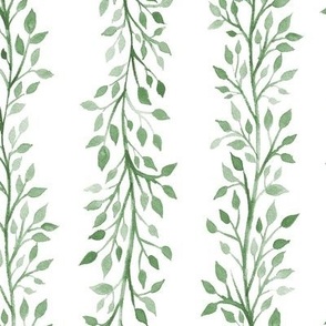 Climbing Vines - White Colorway - Larger Scale