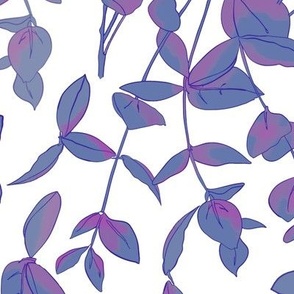 Blue and violet eucalyptus
