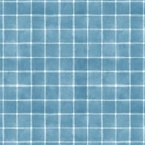 Smoky Beach Blue Window pane Check Gingham - Ditsy Scale - Boho Beach House Collection