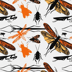 orange_texture_bugs