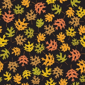 Colorful Fall Leaves