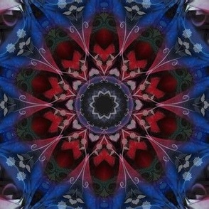Red Blue White Kaleidoscope