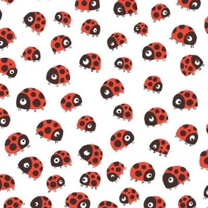 Ditsy Ladybug - Medium - Red