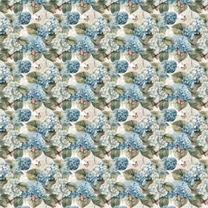 White & Blue Hydrangeas 