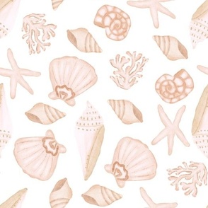 boho watercolor summer seashells 