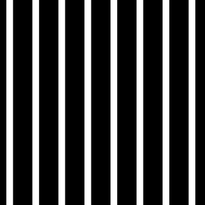 Black And White Stripe Pattern Vertical Smaller Scale