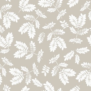 White leaves on Neutral Background