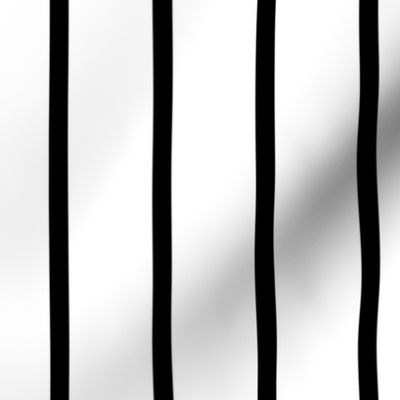 Black And White Stripe Pattern II Horizontal Smaller Scale