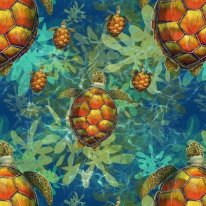 Turtle family 
