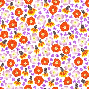 Texas Wildflower Groovy Scatter on white - 18in seamless repeat