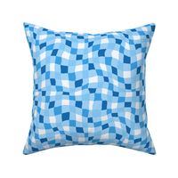 Wavy Blue Checker Print