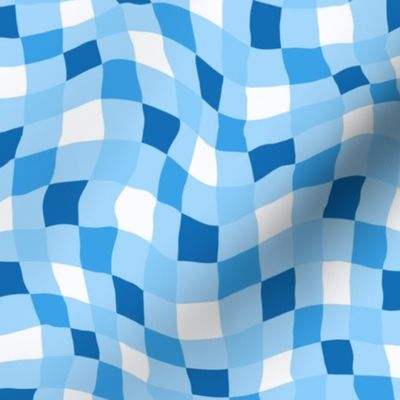 Wavy Blue Checker Print