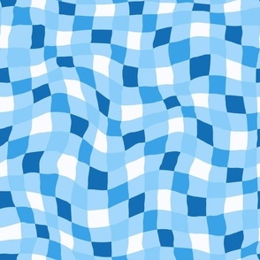 Wavy Blue Checker Print