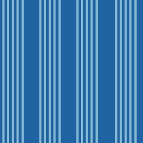 Blue stripe- large