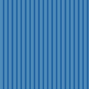 Blue stripe- small