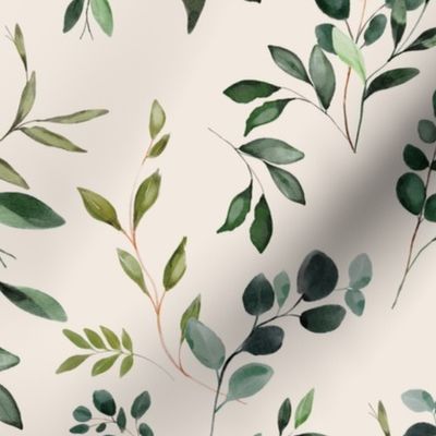 Olive Leaves & Greenery