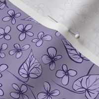 violets_purple