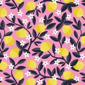 Lemon Tree (Pink)