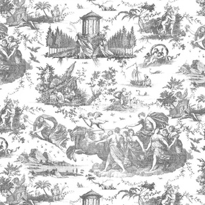 Chariot of Dawn Toile-Grey