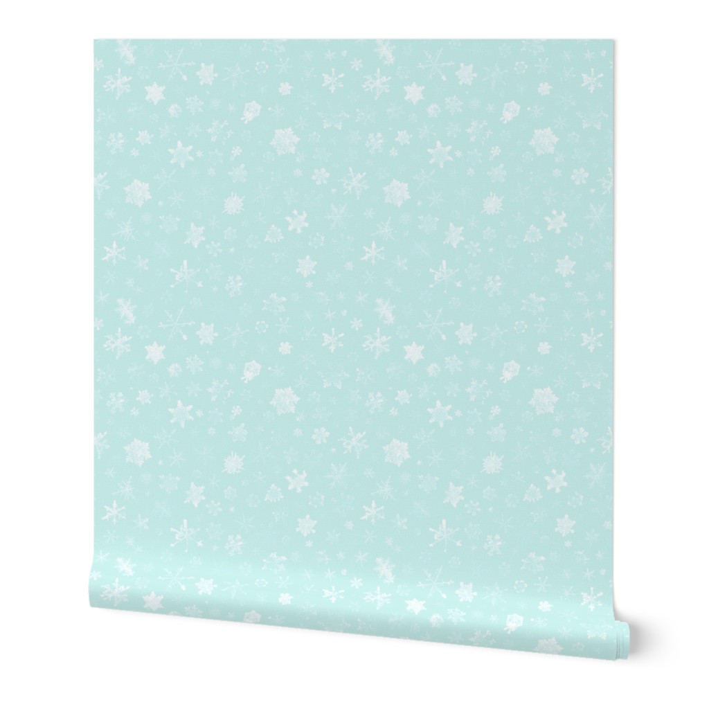 photographic snowflakes on pale ice blue