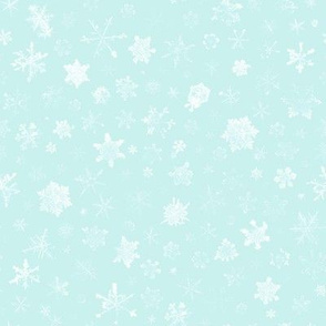 photographic snowflakes on pale ice blue