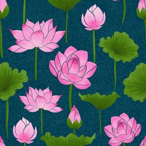 Lotus wonder