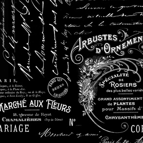 Black And White French Handwriting Typography And Handwriting Design