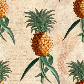 Vintage Pineapples