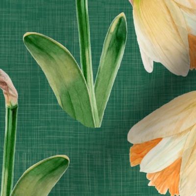 Watercolor Daffodils on Emerald Green with Texture var1 | Large Scale