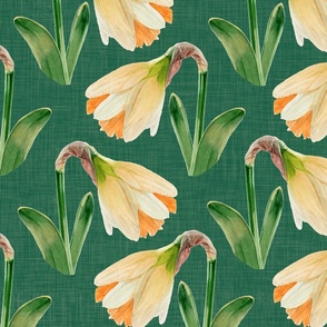 Watercolor Daffodils on Emerald Green with Texture var1 | Large Scale