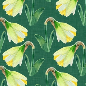 Watercolor Daffodils on Emerald Green with Texture var1| Large Scale